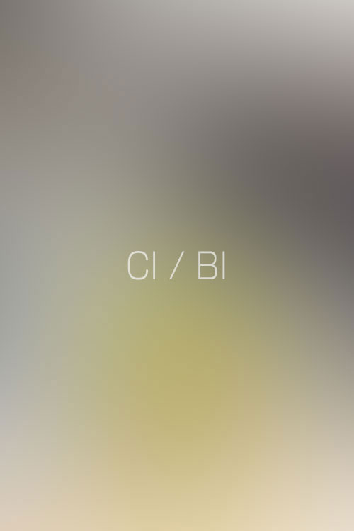 CI / BI / 識別系統